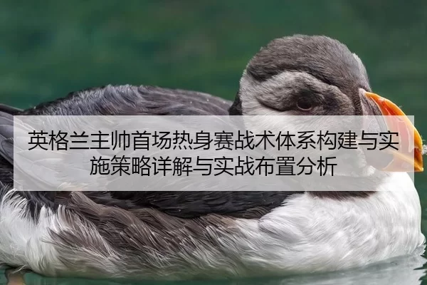 英格兰主帅首场热身赛战术体系构建与实施策略详解与实战布置分析