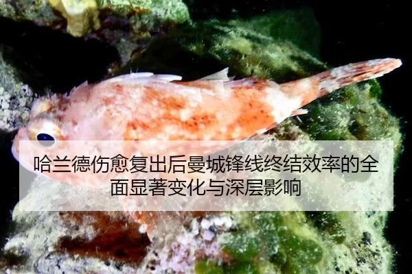 ha-lan-de-shang-yu-fu-chu-hou-man-cheng-feng-xian-zhong-jie-xiao-lv-de-quan-mian-xian-zhu-bian-hua-yu-shen-ceng-ying-2-661.jpg