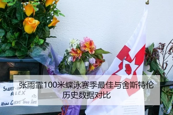 张雨霏100米蝶泳赛季最佳与舍斯特伦历史数据对比